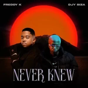 Freddy K & Djy Biza – Never Knew (Cover Artwork + Tracklist) Album Zip Mp3 Download Fakaza: