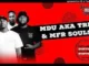 MDU aka TRP & MFR Souls – Allergies Away Mp3 Download Fakaza: