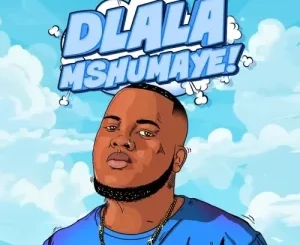 Shazmicsoul – Dlala Mshumaye Ft. CowBoii Mp3 Download Fakaza:
