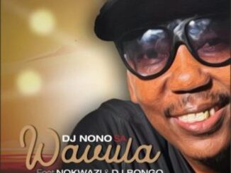 DJ Nono SA – Wavula ft DJ Bongo & Nokwazi Mp3 Download Fakaza: