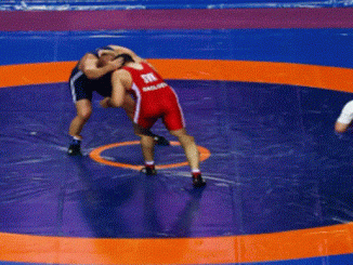 What Are The Reasons For Being Disqualified In A Wrestling Match?