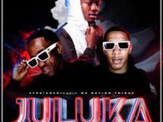 StokieNChilli – Juluka ft. Mr Nation Thingz, TNK MusiQ & Absolutesoulx Mp3 Download Fakaza: