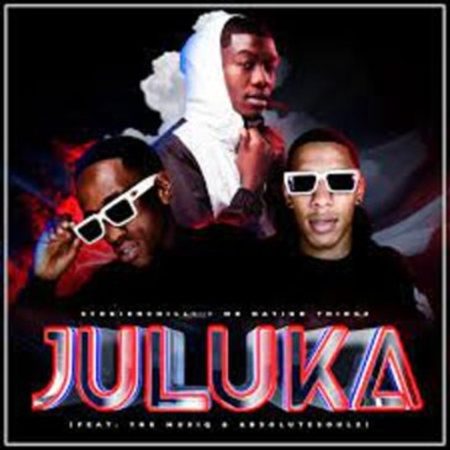 StokieNChilli – Juluka ft. Mr Nation Thingz, TNK MusiQ & Absolutesoulx Mp3 Download Fakaza: