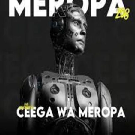 Ceega – Meropa 208 (House Music Is Life Itself) Mp3 Download Fakaza: