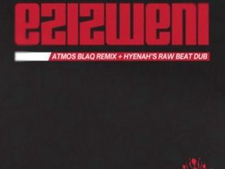 Hyenah – Ezizweni (Hyenah Raw Beat Dub) Ft DJ Tira & Luke Ntombela  Mp3 Download Fakaza:
