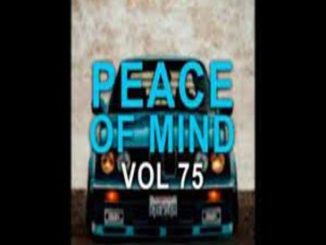 DJ Ace – Peace Of Mind Vol 75 2023 Christmas Day (Special Slow Jam Mix)Mp3 Download Fakaza: D