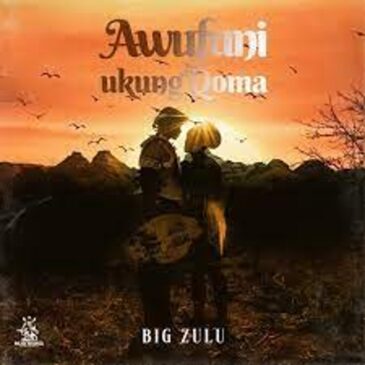 Big Zulu  just dropped this new song titled ''Awufuni Ukung’Qoma ''