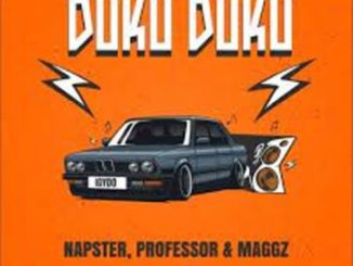 Napster, Professor & Maggz – Duku Duku (Igydo) Mp3 Download Fakaza:
