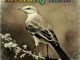Luxury SA – Mocking Bird  Mp3 Download Fakaza
