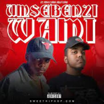 DJ JOSH & Yung Silly Coon – Umsebenzi Wami Mp3 Download Fakaza: