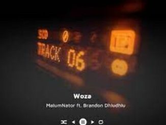 MalumNator & Brandon Dhludhlu – Woza Mp3 Download Fakaza: