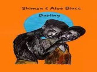 Shimza & Aloe Blacc – Darling Mp3 Download Fakaza: