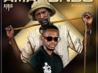 Sthwathwa & Airic – Amazondo ft. Nolly M & Uncle Chilly Mp3 Download Fakaza :