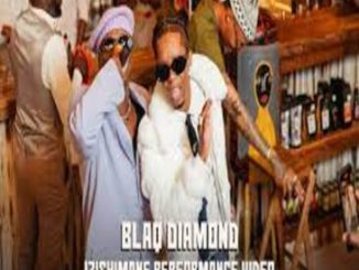 Blaq Diamond – Izishimane Music Video Download Fakaza: