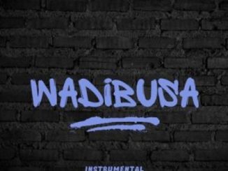 DJ KERV – Wadibusa Uncle Waffles  Mp3 Download Fakaza:
