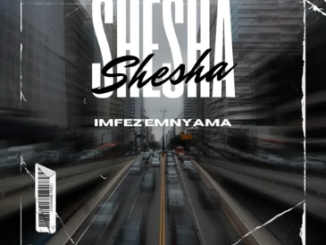 Imfezemnyama – Shesha Mp3 Download Fakaza: