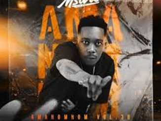 Msaro – Musical Exclusiv #AmaNomNom Vol.36 Mix Mp3 Download Fakaza: