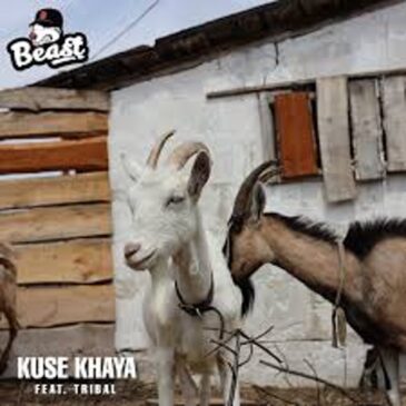 Beast RSA – Kuse Khaya ft. Tribal Mp3 Download Fakaza: B