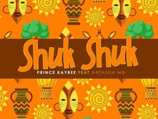 Prince Kaybee – Shuk Shuk ft. Natasha MD  Mp3 Download Fakaza: