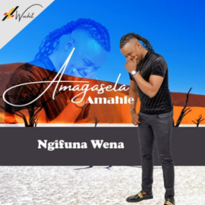 Stabhilithi – Amagasela Amahle (Ngifuna Wena)  Download Fakaza: