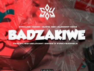 Strauss Yanos, Busta 929 & Element Keyz ft SLizzy, Relevant Emcee & Funky Bazhele – Badzakiwe  Mp3 Download Fakaza: