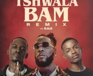 TitoM, Yuppe & Burna Boy – Tshwala Bam (Remix) ft S.N.E   Mp3 Download Fakaza: