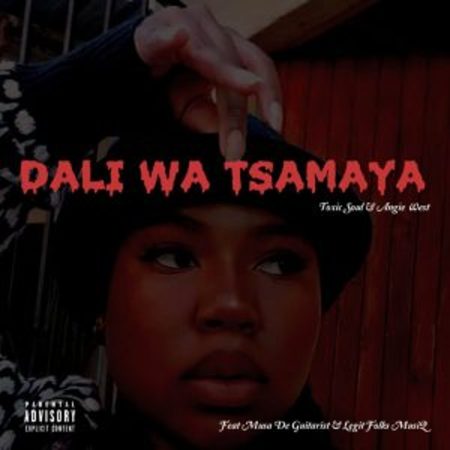 Toxic Soul & Angie West – Dali Wa Tsamaya ft Musa De Guitarist & Legit Folks MusiQ   Mp3 Download Fakaza: T