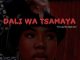 Toxic Soul & Angie West – Dali Wa Tsamaya ft Musa De Guitarist & Legit Folks MusiQ   Mp3 Download Fakaza: T