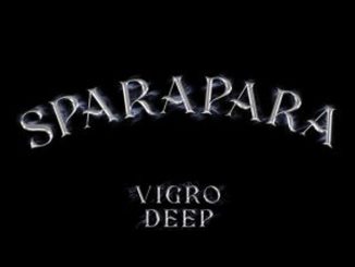 Vigro Deep & Focalistic – Sparapara ft Ch’cco & M.J Mp3 Download Fakaza