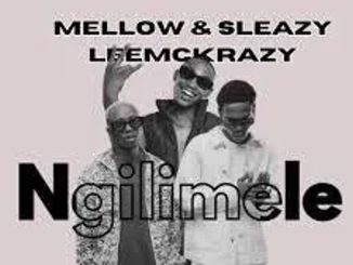 Mellow & Sleazy – Ngilimele Ft. Leemckrazy Mp3 Download Fakaza:
