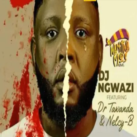 DJ Ngwazi Fake Love Ft. Dr Tawanda & Nelcy-B Mp3 Download
