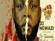 DJ Ngwazi Fake Love Ft. Dr Tawanda & Nelcy-B Mp3 Download